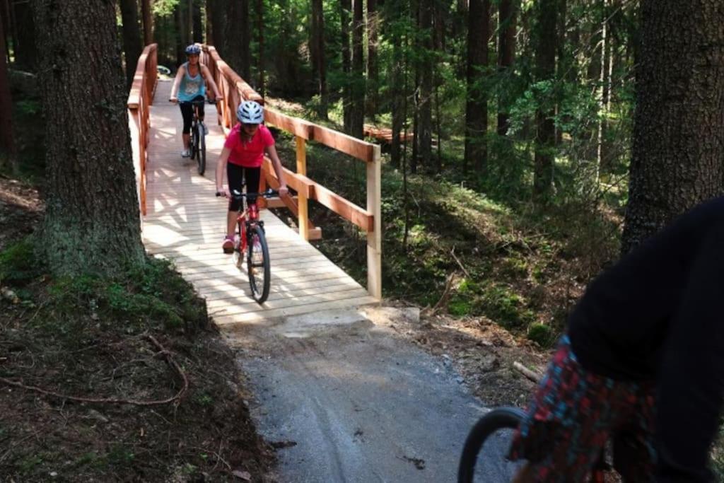 Apartman S Terasou A Vyhledem Na Jezero Lipno Kovarov  Buitenkant foto