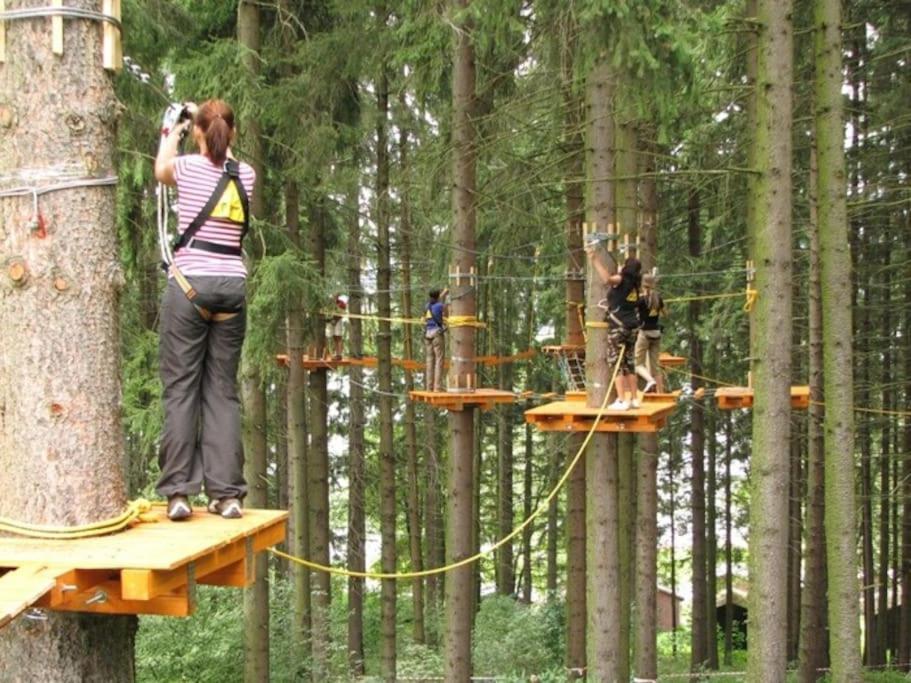 Apartman S Terasou A Vyhledem Na Jezero Lipno Kovarov  Buitenkant foto