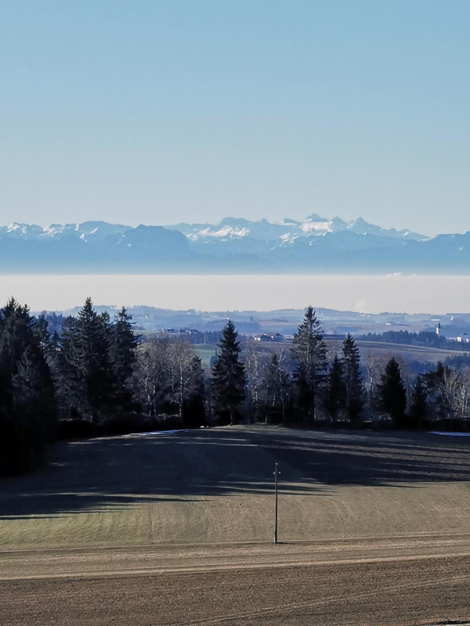 Apartman S Terasou A Vyhledem Na Jezero Lipno Kovarov  Buitenkant foto